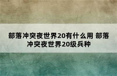 部落冲突夜世界20有什么用 部落冲突夜世界20级兵种